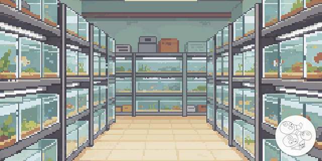 aquarium_research_tanks