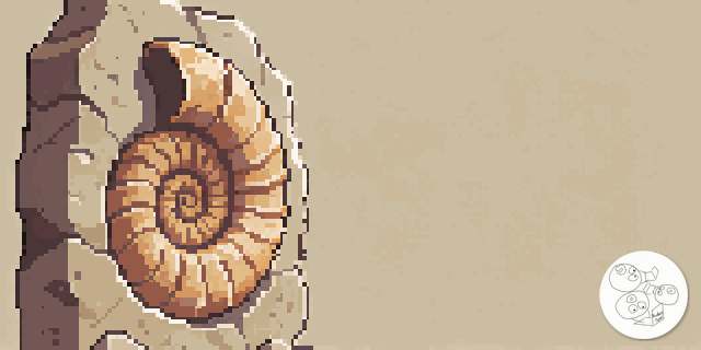 ammonite_slab