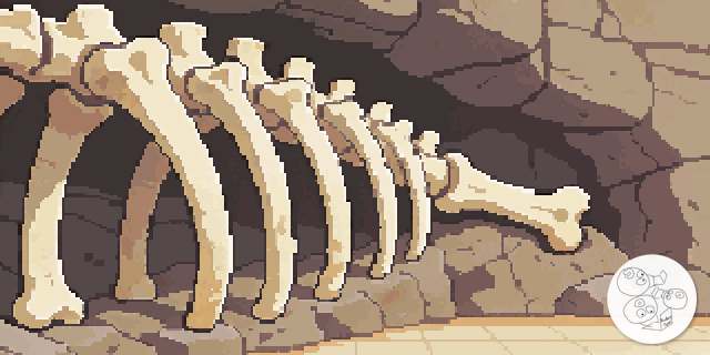 fossil_bone_bed