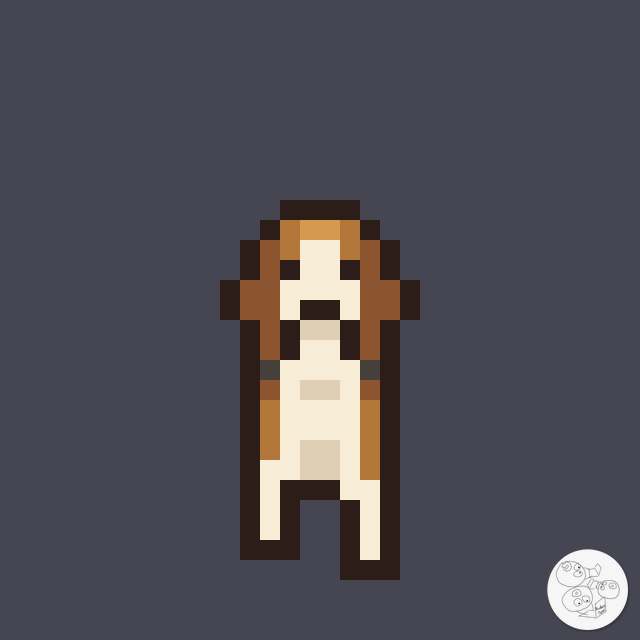 beagle_front_walk-02