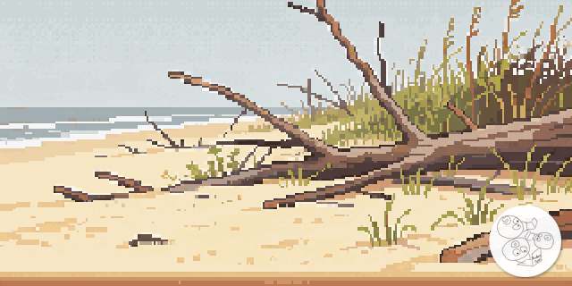 after_storm_debris