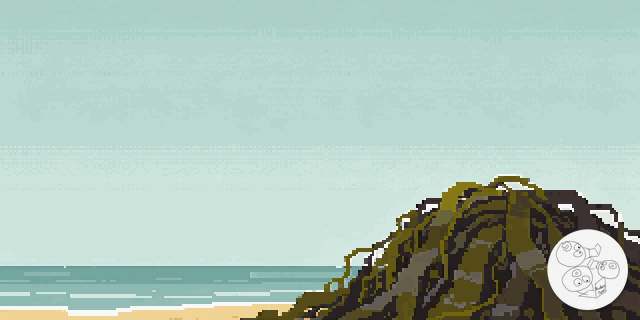 kelp_shore