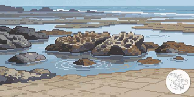 reef_flat_lowtide