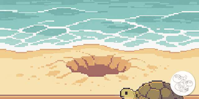 sea_turtle_nest