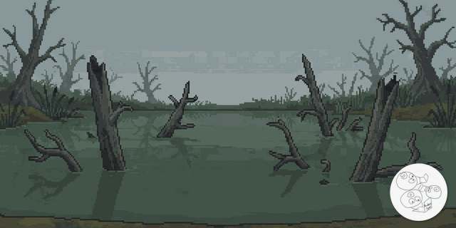 swamp