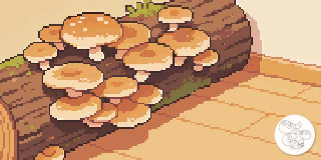 mushroom_patch_log