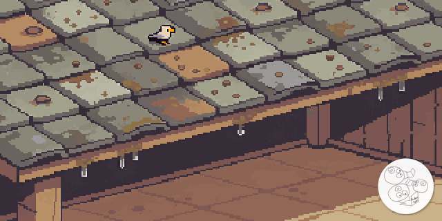 gull_roost_roof