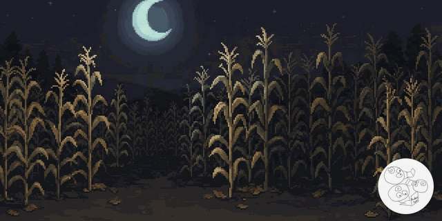 cornfield_night