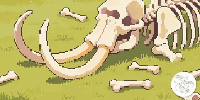 mammoth_bones_field