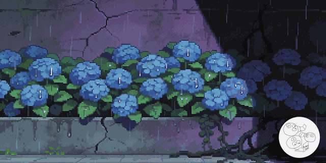 hydrangea_wall_rainy