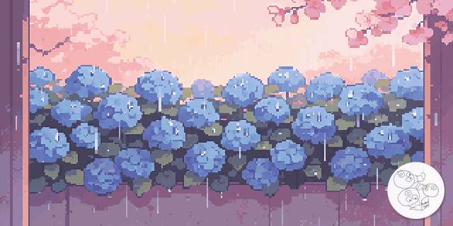 hydrangea_wall_rainy
