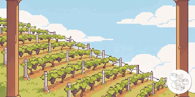 vineyard_sky