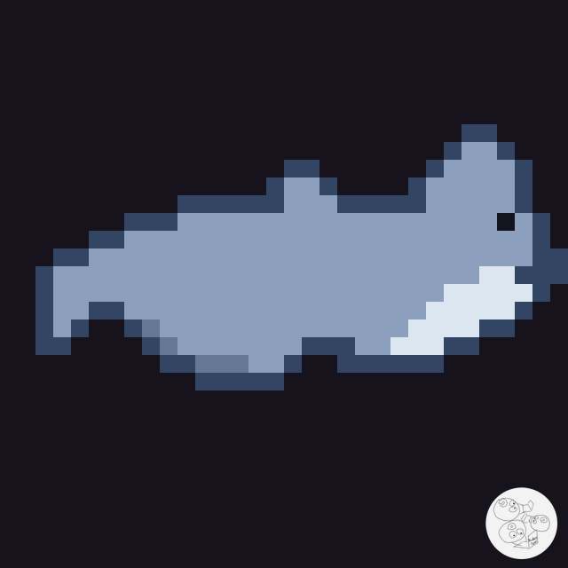 dolphin_side_4