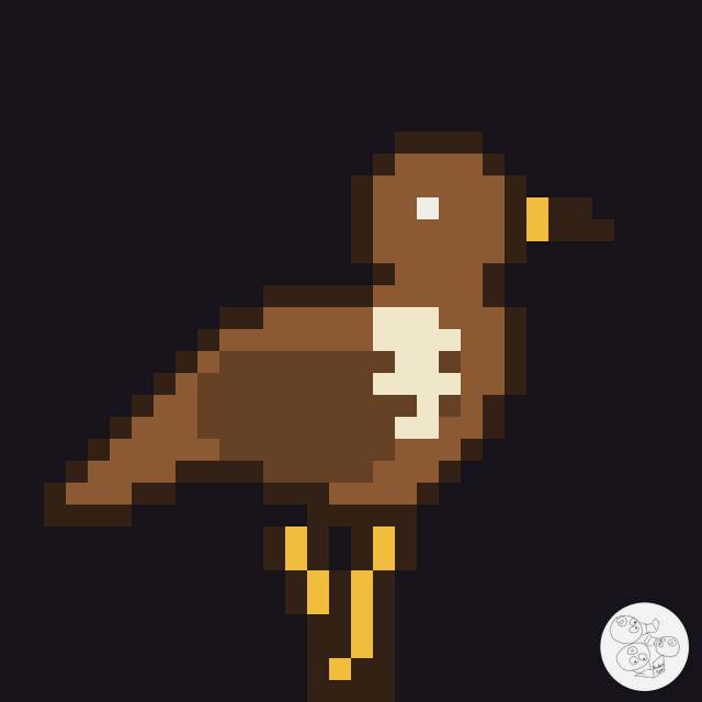 hawk_side_3