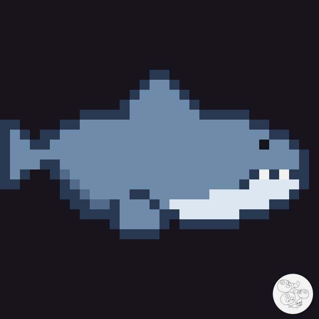 shark_side_2