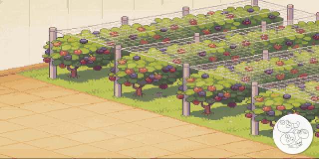 berry_field