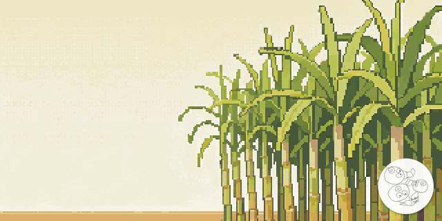 cane_field