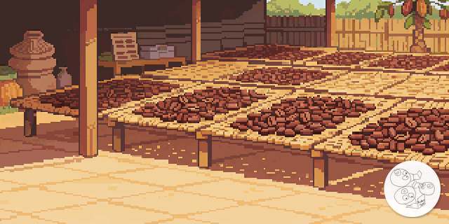 cocoa_drying_yard
