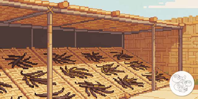 vanilla_drying_yard